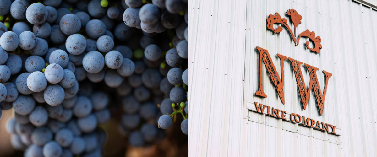 northwest-wine-company-and-a-bunch-of-grapes